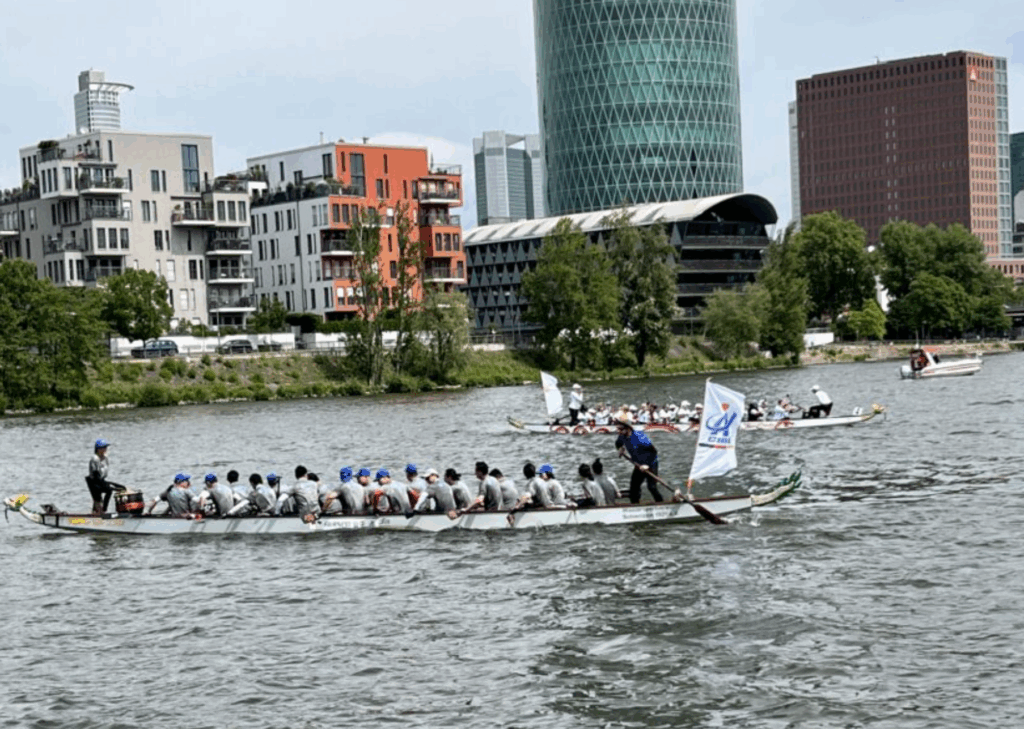 Drachenbootrennen auf dem Main