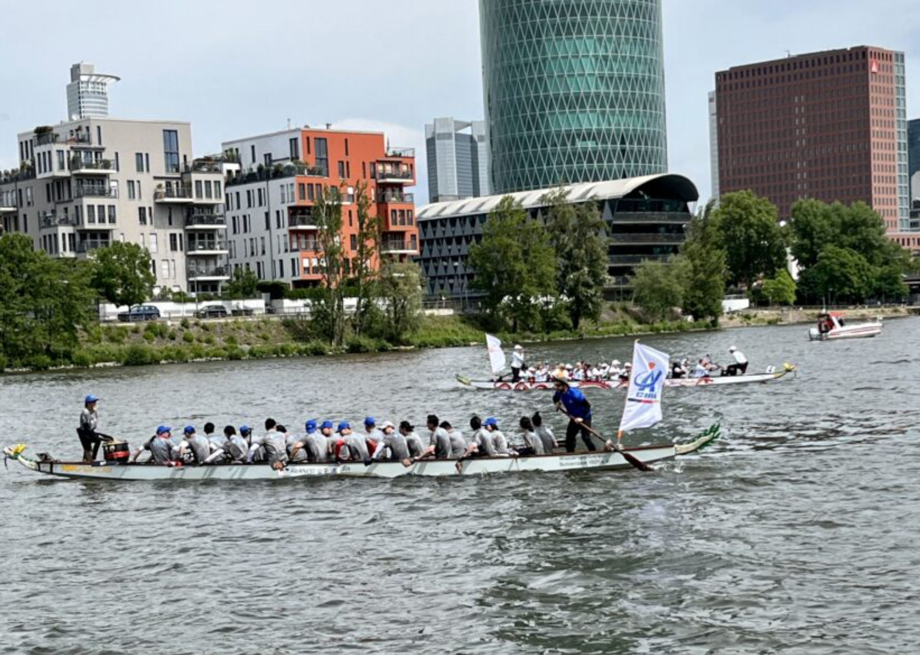 Drachenbootrennen auf dem Main