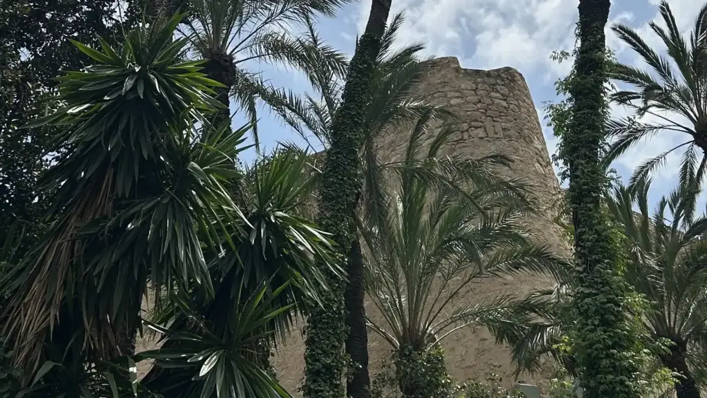 Huerto del Cura – Palmen umringen eine historische Ruine
