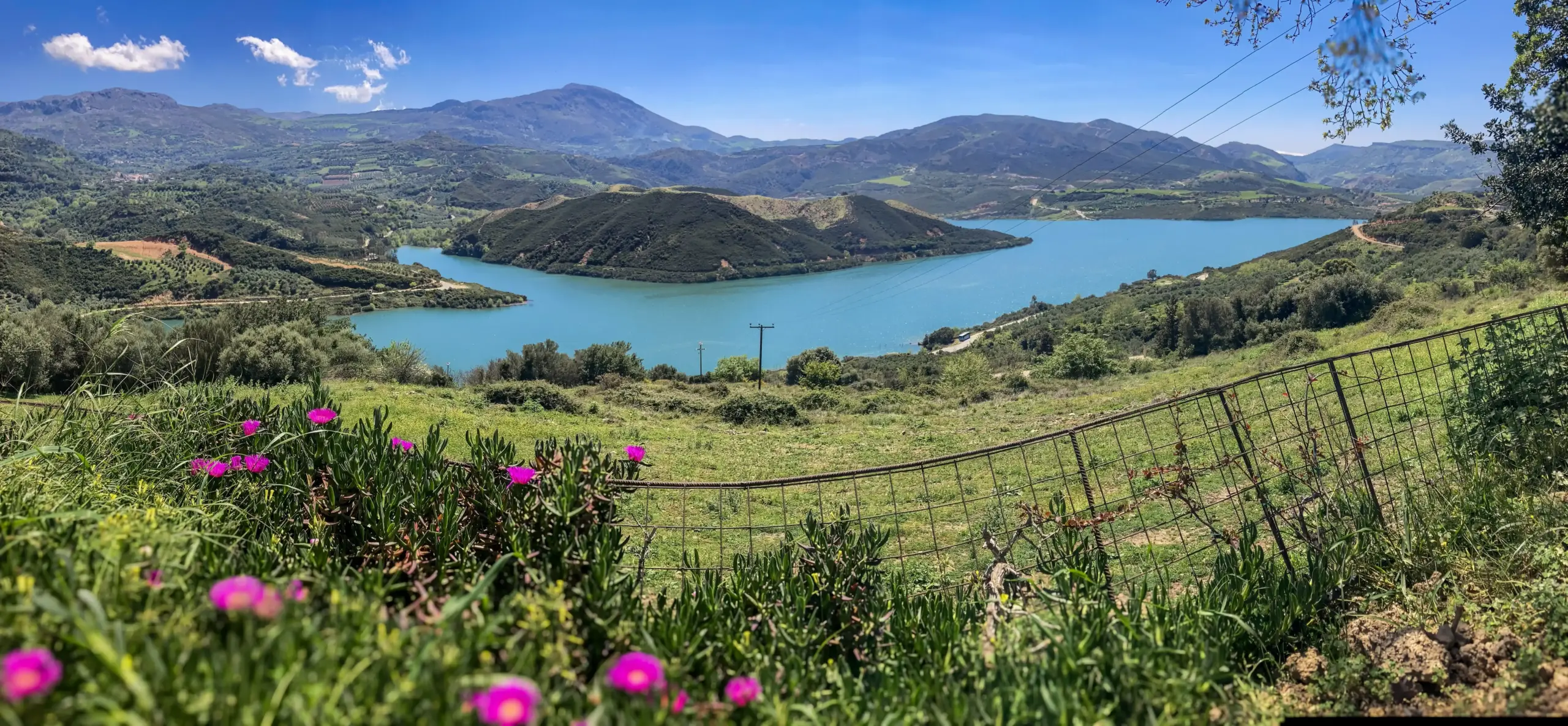 Kreta Flüssiges Gold | Foto: Sabine Ulbrich