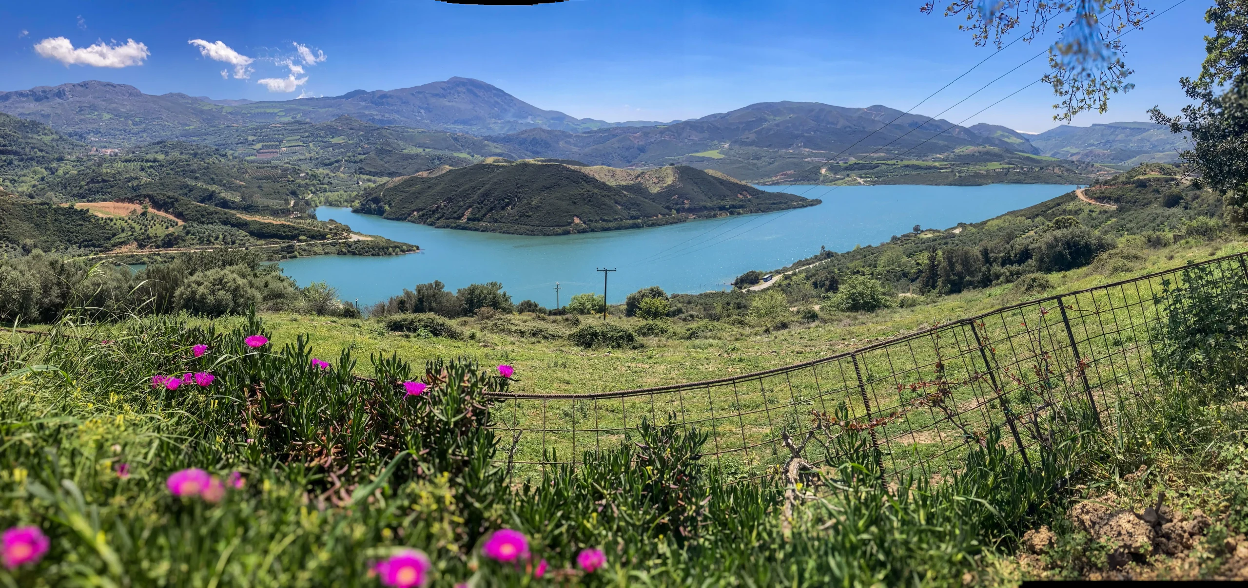 Kreta Flüssiges Gold | Foto: Sabine Ulbrich